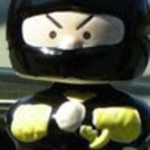 Meet your Posher, Ginger